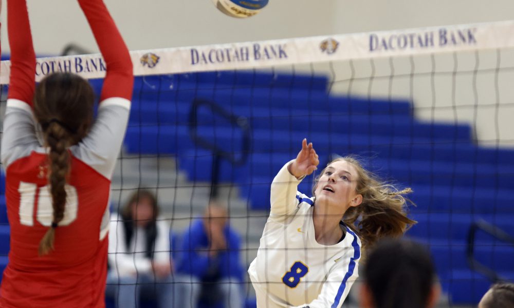 Aggressive Golden Eagles take down Cobblers SD SportScene