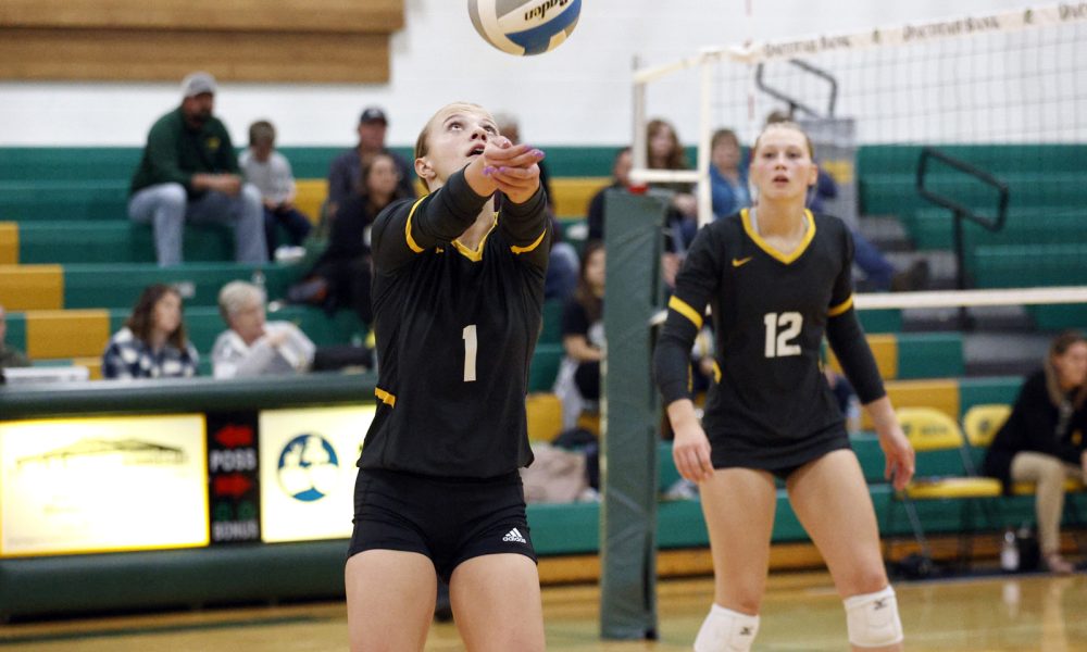 Volleyball Roundup SD SportScene