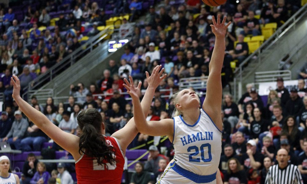Area players earn spots on allstate girls’ basketball teams SD