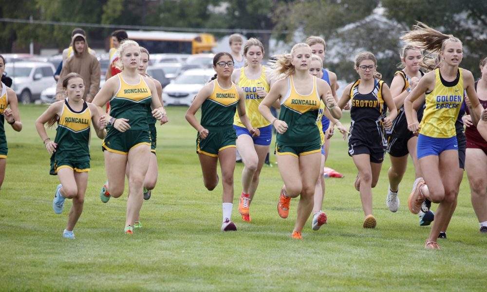 Area Class A runners take aim on state meet – SD SportScene
