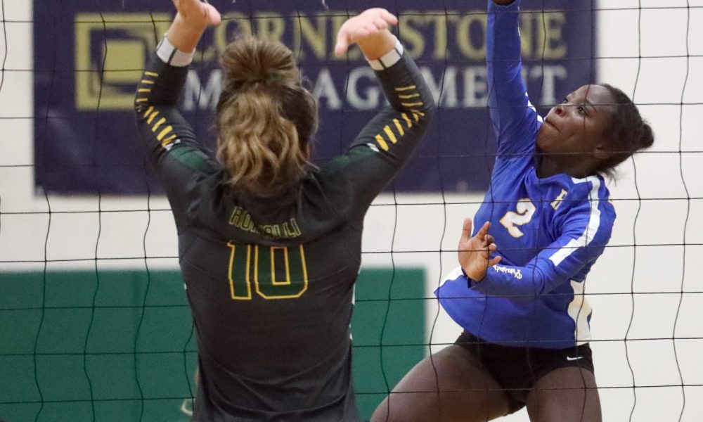 Volleyball Roundup – SD SportScene