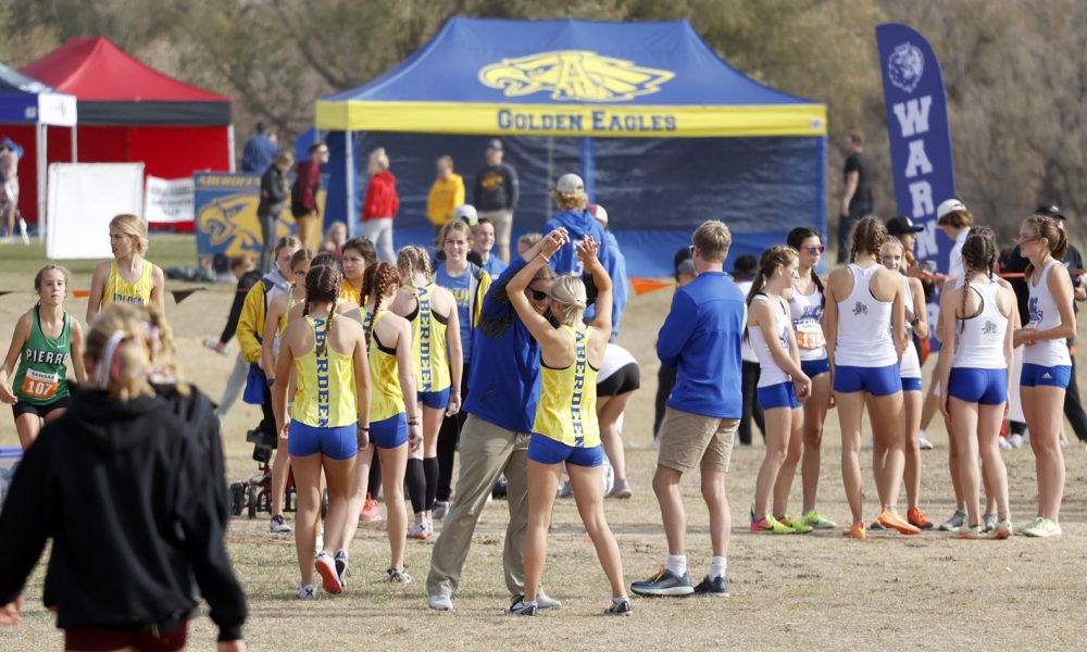 Gallery: Area runners shine at the State Cross Country meet in Huron ...