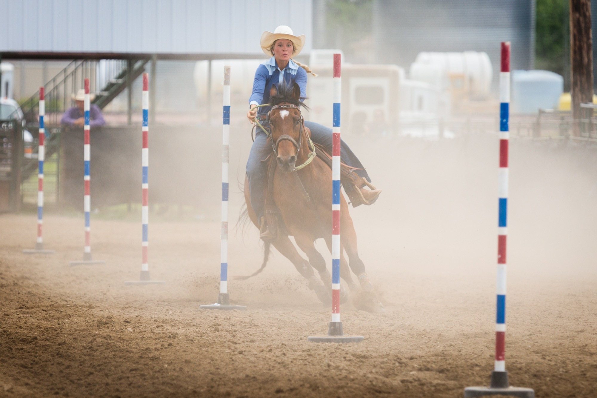 Lammers siblings combine forces on horses in rodeo arena – SD SportScene