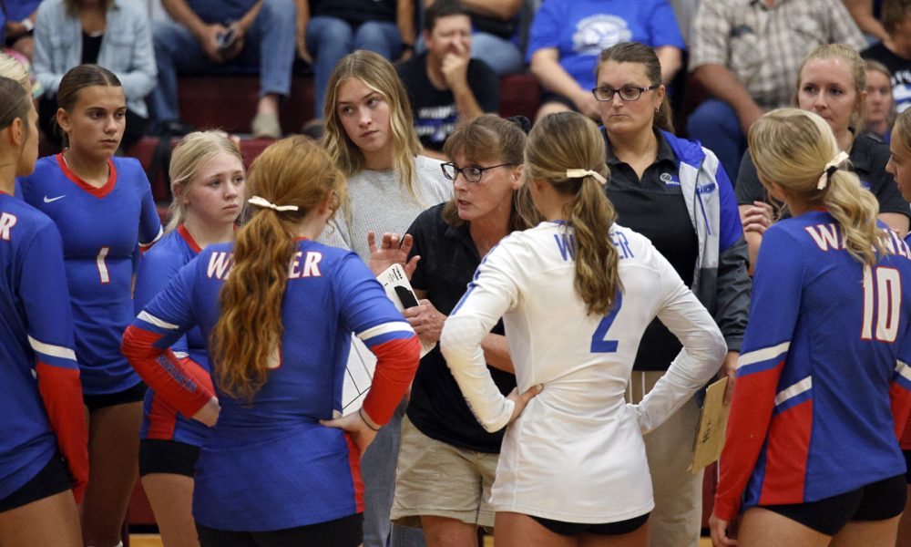 Volleyball Roundup SD SportScene