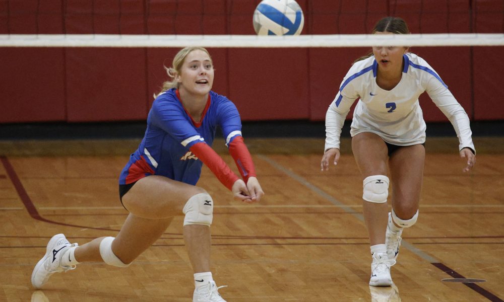 Volleyball Roundup SD SportScene